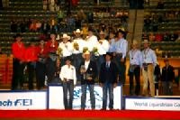 bronzo_reining_weg_200